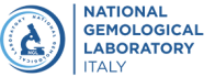 logo-ngl-lungo