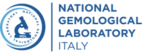 logo-ngl-lungo